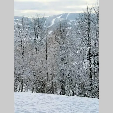 Studio Avec Vue Magnifique Gérardmer